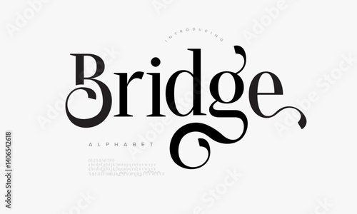 Decorative Swash Serif Font Vector for Luxury Branding and Artistic Design