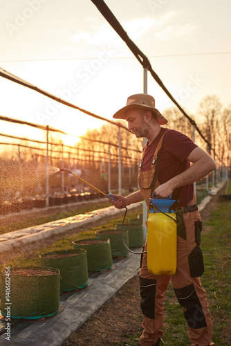 Obraz na płótnie Farmer using pesticide, insecticide and herbicide sprayer sprinkler in an blueberries farm outdoors in springtime, before blooming. w salonie