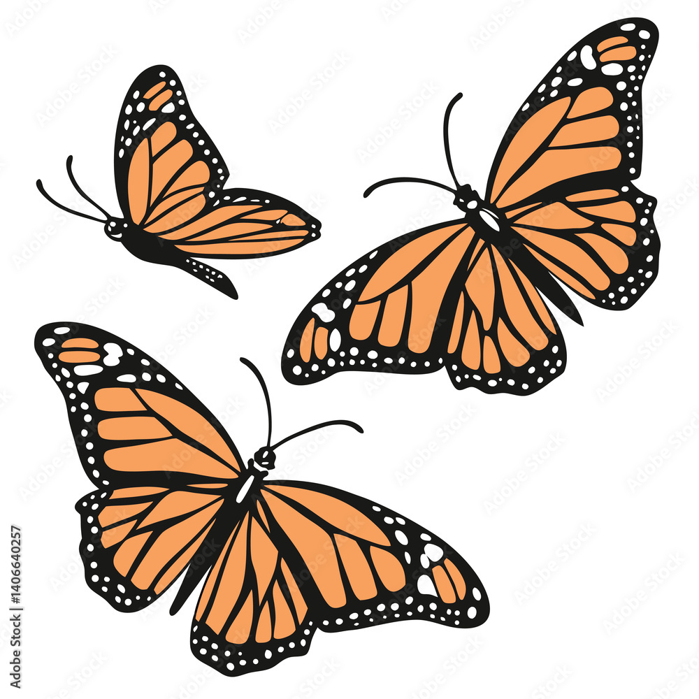 Fototapeta premium monarch butterflies set vector