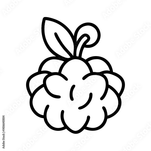 cloudberry fruit line drawn vector art - illustration cloudberry fruit isolated transparent background