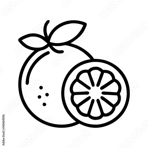 grapefruit line drawn vector art - illustration grapefruit isolated transparent background