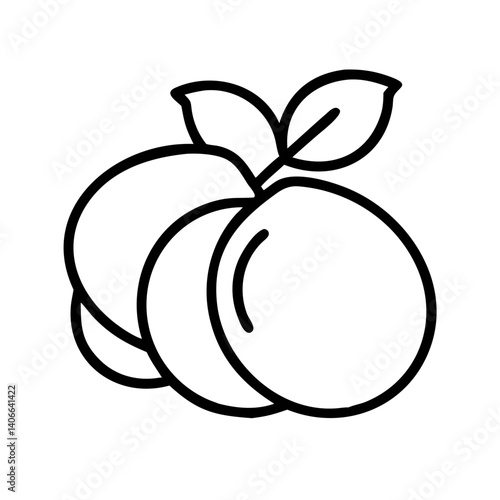 nance fruit line drawn vector art - illustration nance fruit isolated transparent background