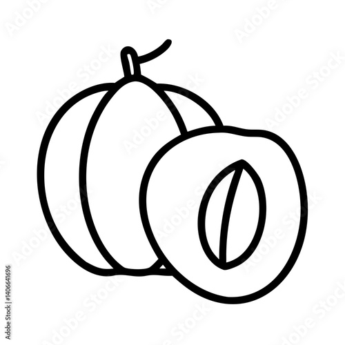 sapodilla fruit line drawn vector art - illustration sapodilla fruit isolated transparent background