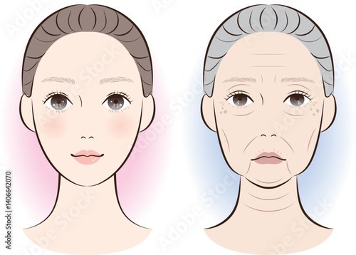 老化が進んだ顔と若々しい顔の比較｜加齢による肌変化イラスト