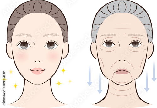 老化が進んだ顔と若々しい顔の比較｜加齢による肌変化イラスト