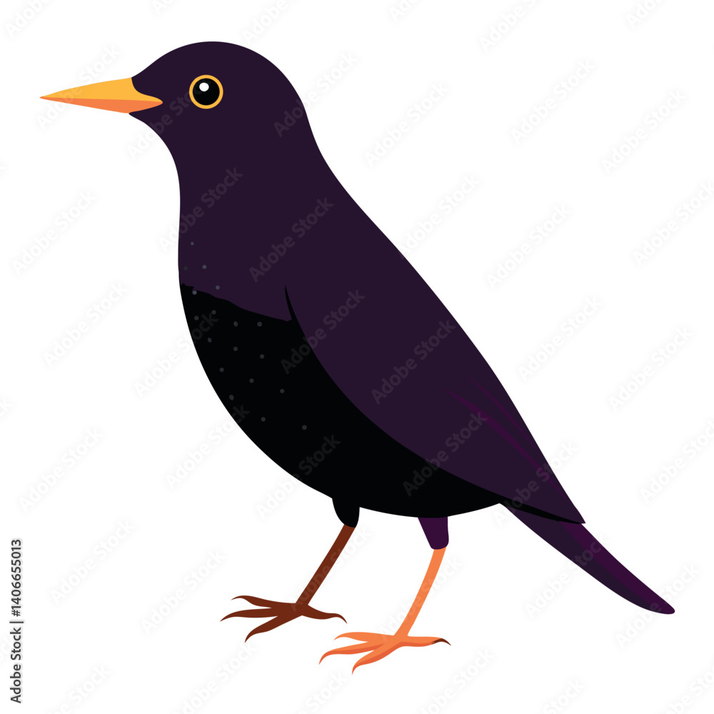 vector illustration of a bird