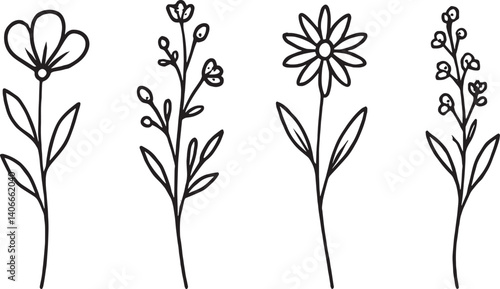 Set of botanical plants lineart