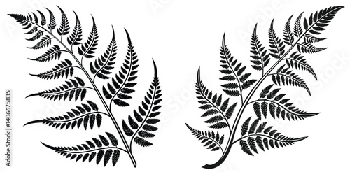 botanical vector design with carved