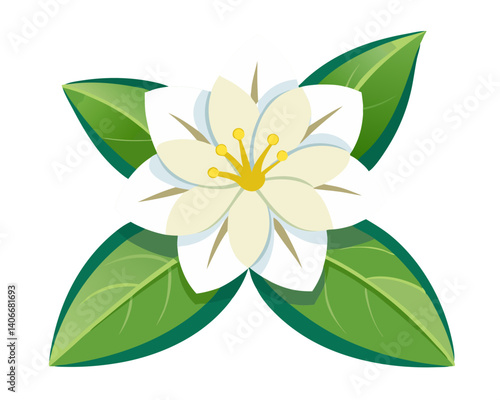 a jasmine or similar blossom no background vector file.