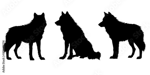 Set of three Silhouette wolfs vector illustration wildlife animal.