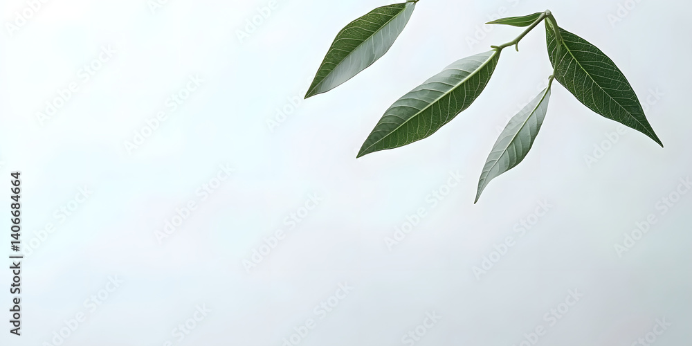 Leaves Sway Gently in the Breeze Leaves Sway Gently in the Breeze