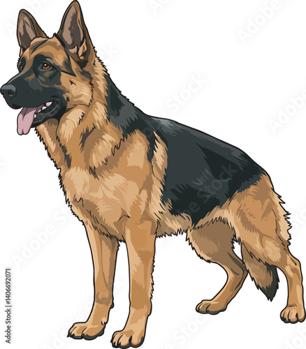 German Shepherd Vector Illustration on White Background, Breed Art.