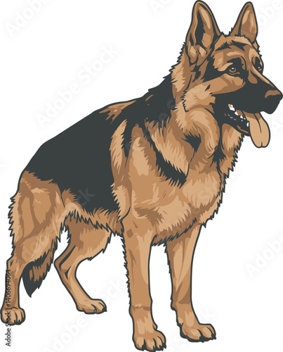 German Shepherd Vector Illustration on White Background, Breed Art.