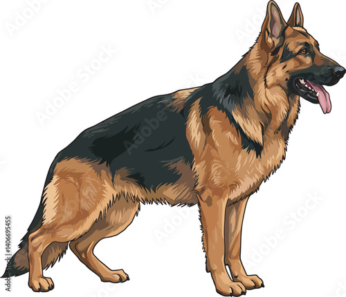 German Shepherd Vector Illustration on White Background, Breed Art.