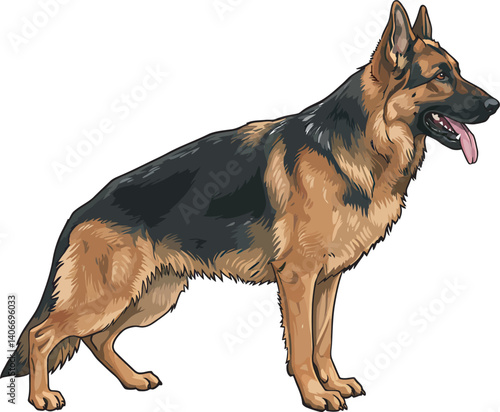 German Shepherd Vector Illustration on White Background, Breed Art.