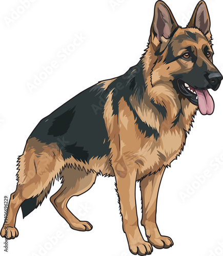 German Shepherd Vector Illustration on White Background, Breed Art.