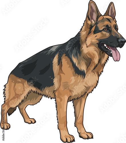 German Shepherd Vector Illustration on White Background, Breed Art.