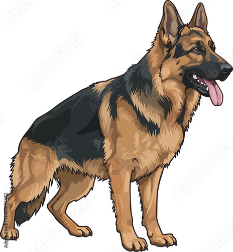 German Shepherd Vector Illustration on White Background, Breed Art.