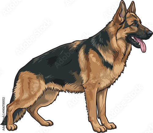 German Shepherd Vector Illustration on White Background, Breed Art.