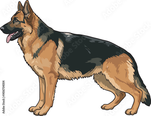 German Shepherd Vector Illustration on White Background, Breed Art.
