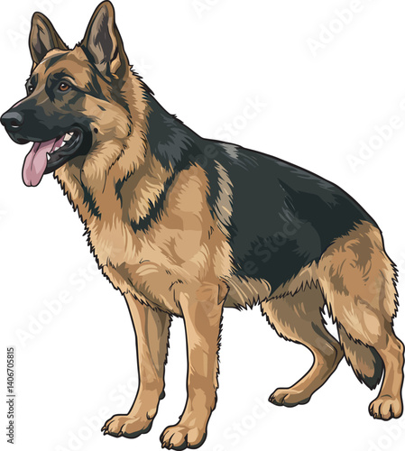 German Shepherd Vector Illustration on White Background, Breed Art.