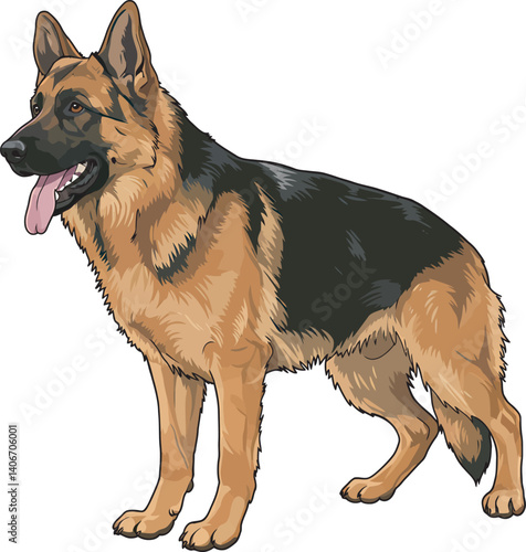 German Shepherd Vector Illustration on White Background, Breed Art.