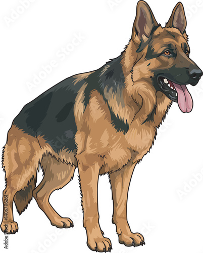 German Shepherd Vector Illustration on White Background, Breed Art.
