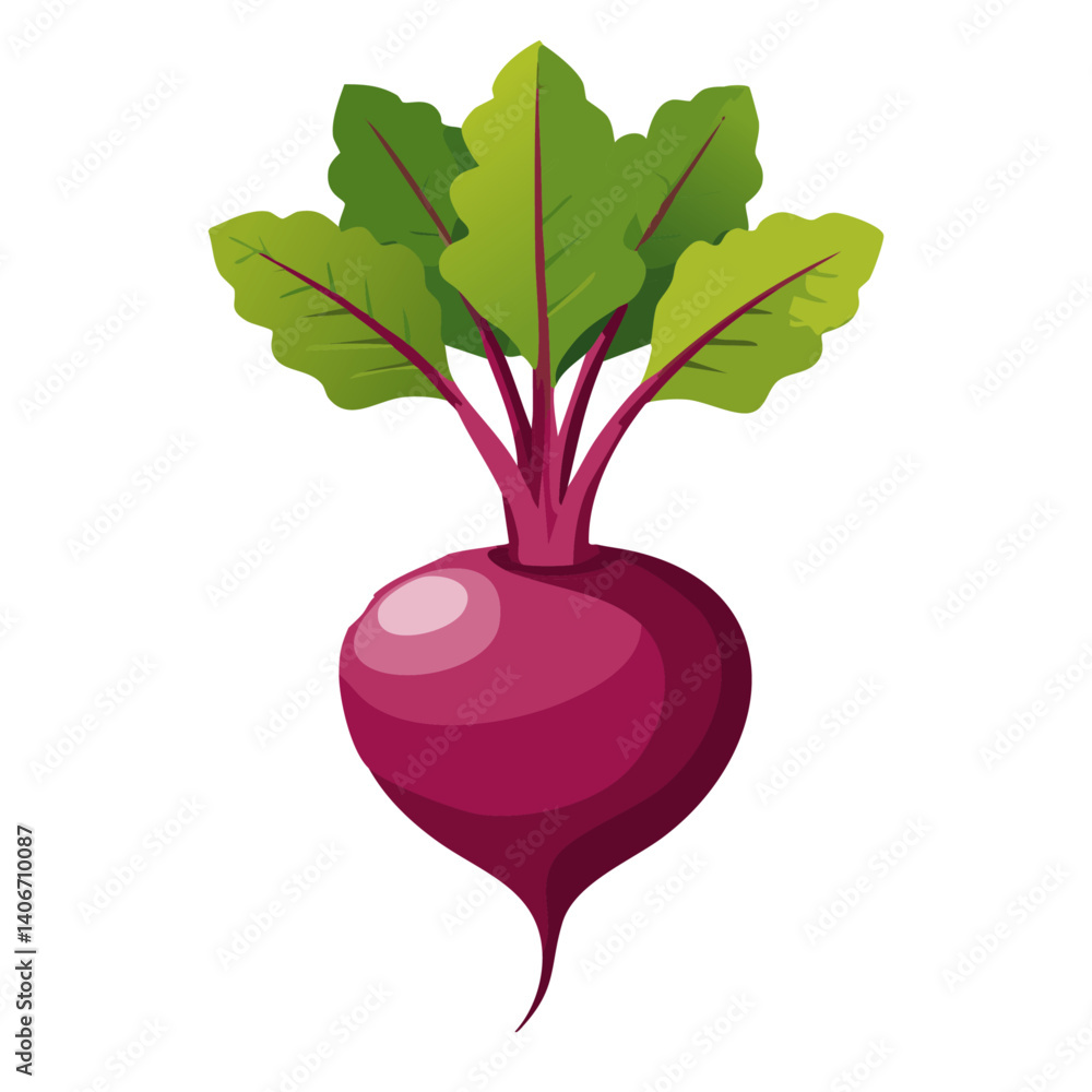 radish isolated on white background vector icon design