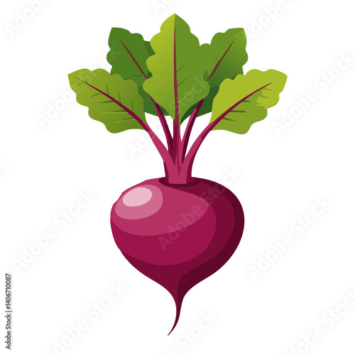 Obraz na płótnie radish isolated on white background vector icon design w salonie