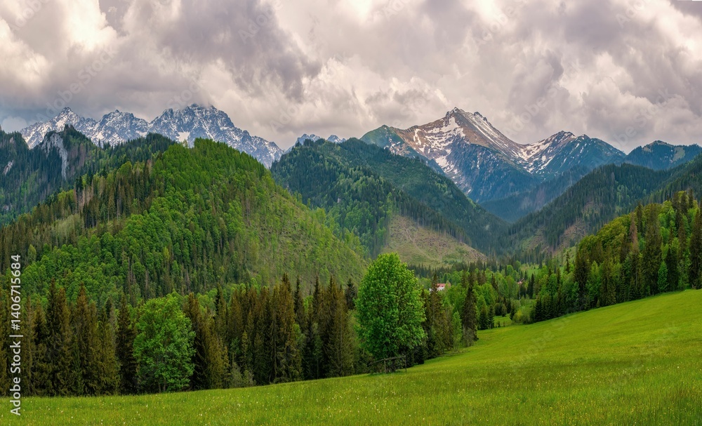 Fototapeta premium Beautiful spring landscape on on green meadow with colorful trees with big peaks in Belianske Tatras at background in Slovakia and Poland. Amazing mountain landscape with dramatic sky. High Tatras. 