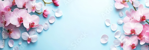 Floral Background With Pastel Pink Orchid Flowers And Petals On Blue, Spa Beauty And Skincare Banner