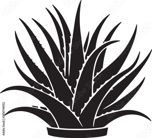 Aloe Vera Benefits for Skin, Hair & Health – Natural Remedy Guide