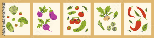 Vegetable poster bundle. Cauliflower, broccoli, Chinese cabbage and tomatoes. Kohlrabi, beets and eggplant. Tomatoes and cucumbers. Turnips, celery and spinach. Red peppers