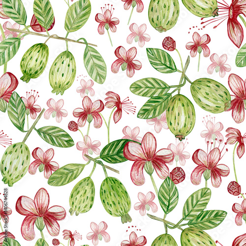 Watercolor seamless pattern with feijoa fruits, flowers, feijoa leaves. For printing on fabric, wallpaper, paper, curtains, prints, wrapping paper.