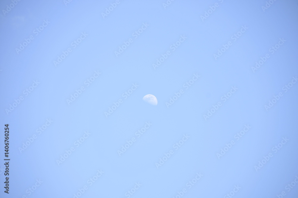 昼の月 昼の月