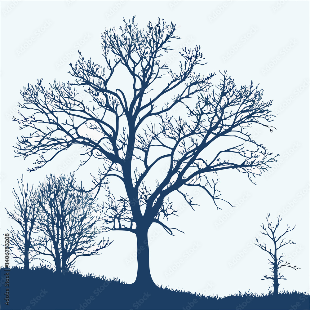 tree in winter tree in winter