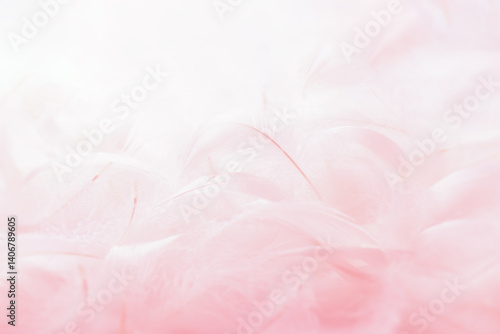Tableau sur toile Closeup Heap of Soft Pink Bird Feathers