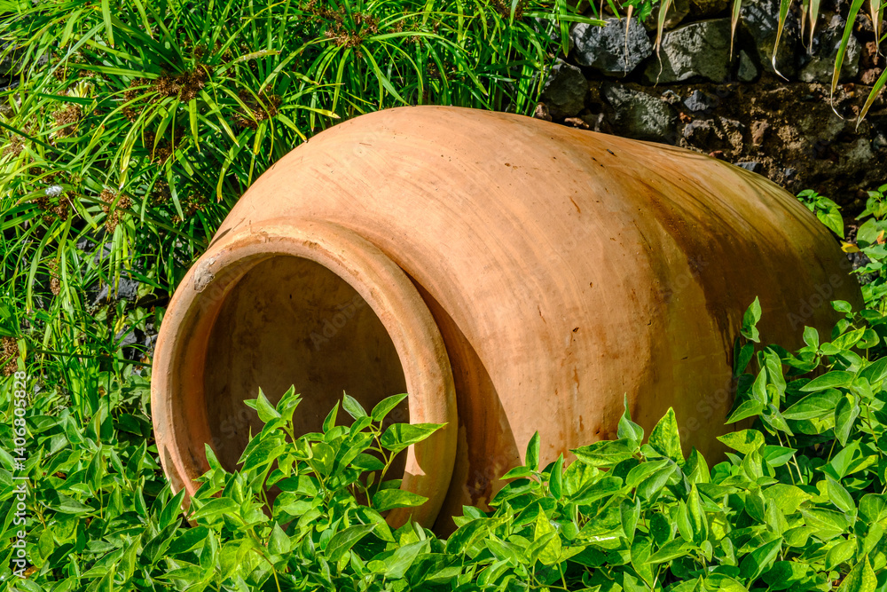 Large terracotta pot rests on lush green foliage in a tropical garden during bright daylight