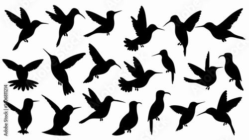 set of hummingbird silhouette vector on white background