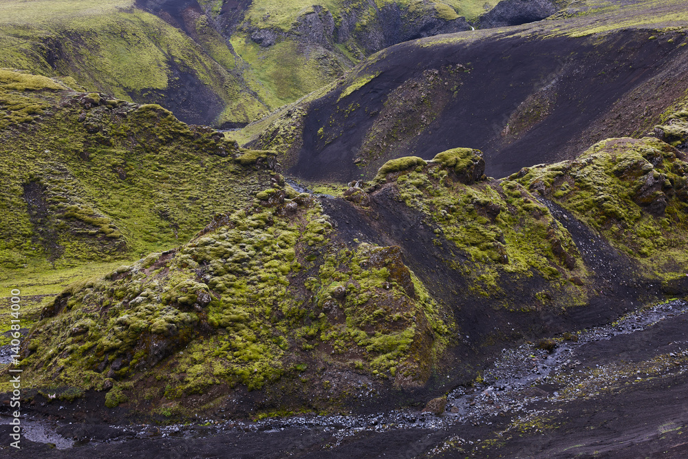 Mossy landscape and river in Lakagigar. Volcanic area. South Iceland