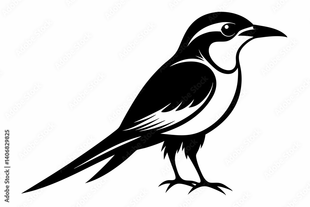 bee eater silhouette line art vector illustration