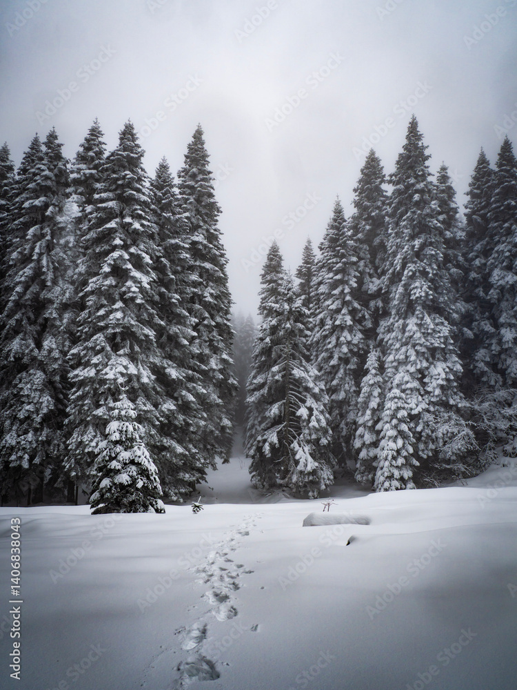 Naklejka premium The view of winter on the snowy plateau