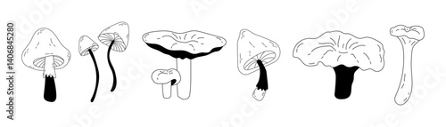 Vector set of different poisonous and edible mushrooms in doodle style. Seasonal hand drawn mushrooms in line art style for design. Isolated stock graphics