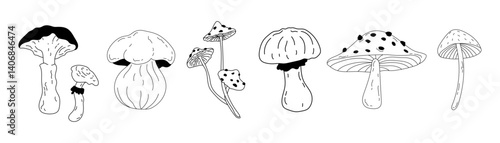 Set of different seasonal autumn mushrooms drawn in doodle style. Line art illustration of poisonous and edible mushrooms. Cute set for stickers, greeting cards templates.