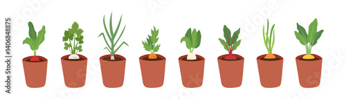 Gardening, spring, farming and home garden concept. Set of flowerpots with seedlings. Vector hand drawn cliparts isolated on white.