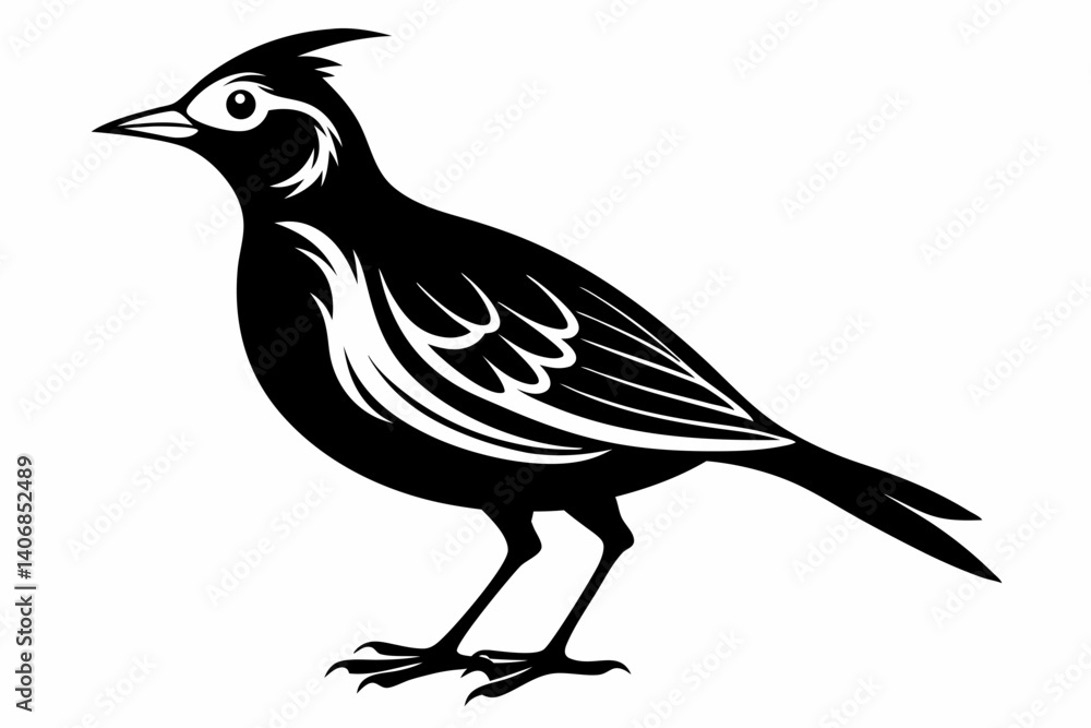 Obraz premium lark silhouette line art vector illustration