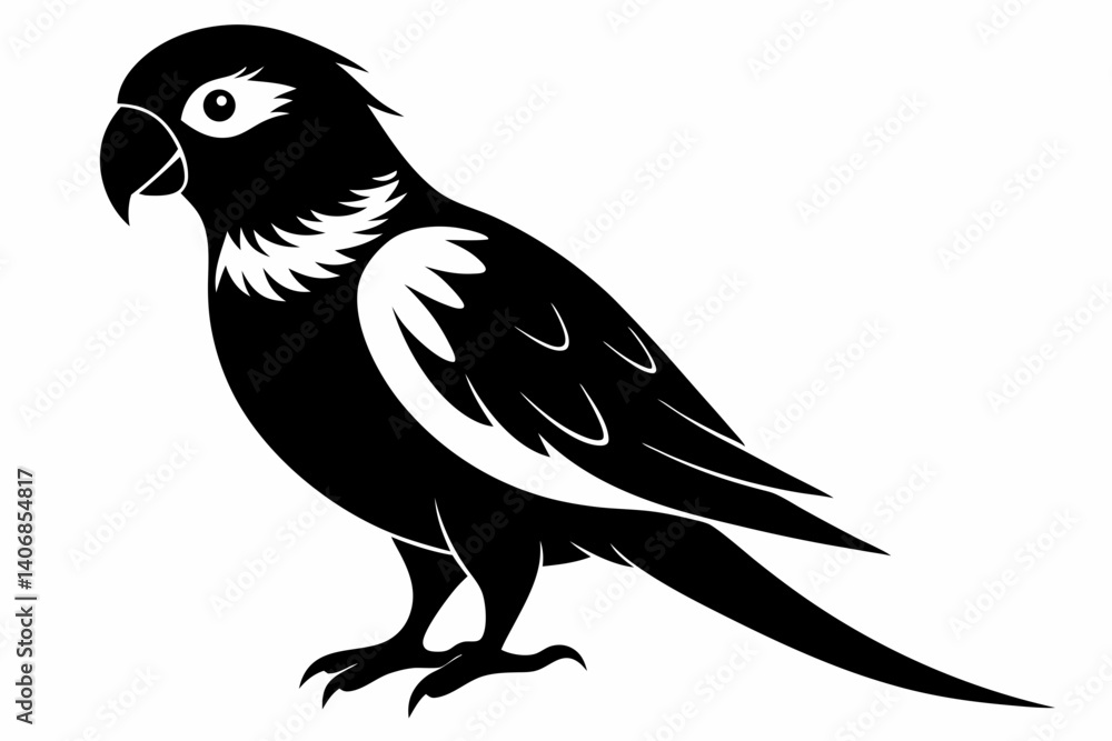 Fototapeta premium lorikeet silhouette line art vector illustration