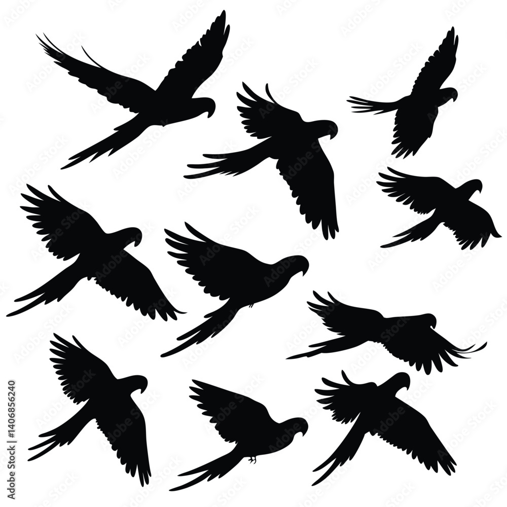 Fototapeta premium Silhouette Grouping of Macaw Birds in Flight on a Transparent Background