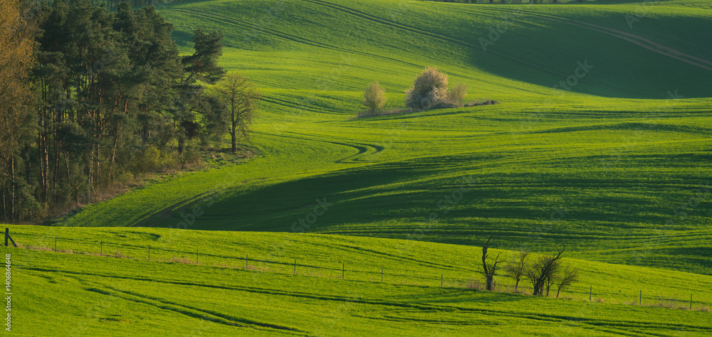 Beautiful spring fields in the Oder river valley in Brandenburg, Germany