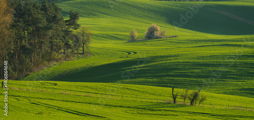 Obraz na płótnie Beautiful spring fields in the Oder river valley in Brandenburg, Germany w salonie